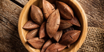What are pili nuts?
