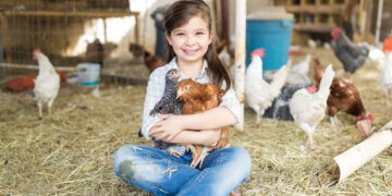 Spending time with chickens can be therapeutic