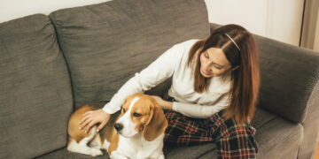 Is it time to adopt a pet?