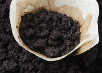 What to do with leftover coffee grounds?