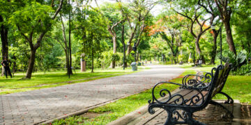 Visiting a park can make you as happy as Christmas