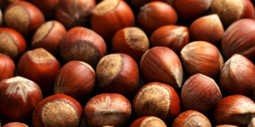 This is why hazelnuts are healthy